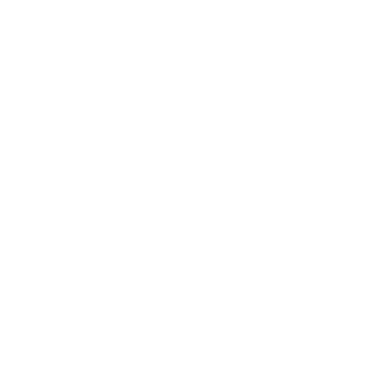 medal (3)