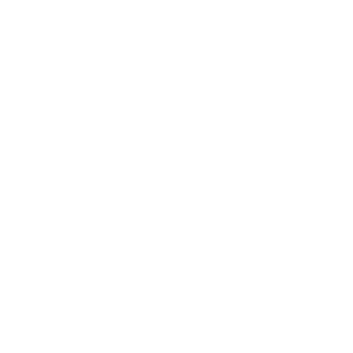 soldier