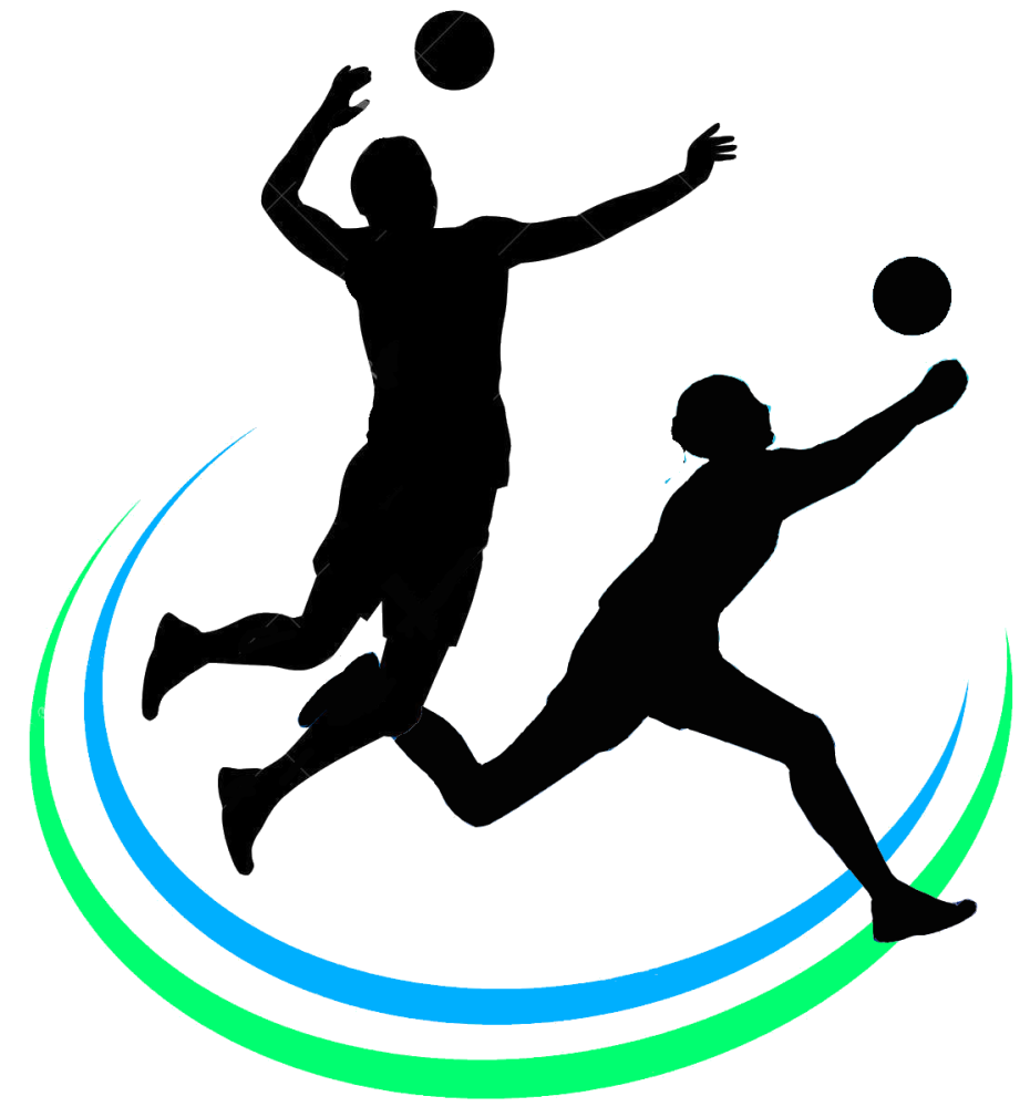 VOLLY LOGO